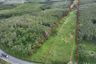 Land for sale in Mai Khao, Phuket
