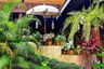 3 Bedroom House for rent in San Phi Suea, Chiang Mai