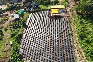 Land for sale in Inthakhin, Chiang Mai