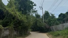 Land for sale in Maret, Surat Thani