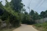 Land for sale in Maret, Surat Thani