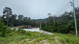 Land for sale in Maret, Surat Thani