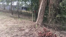 Land for sale in Taling Ngam, Surat Thani