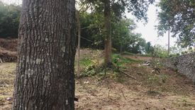 Land for sale in Taling Ngam, Surat Thani