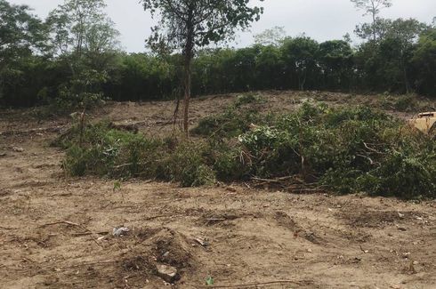 Land for sale in Taling Ngam, Surat Thani