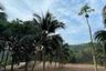 Land for sale in Mae Nam, Surat Thani