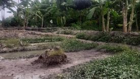 Land for sale in Lipa Noi, Surat Thani