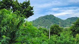 Land for sale in Bo Phut, Surat Thani