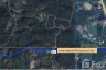 Land for sale in Thung Chang, Nan