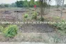 Land for sale in Pho Thale, Phichit