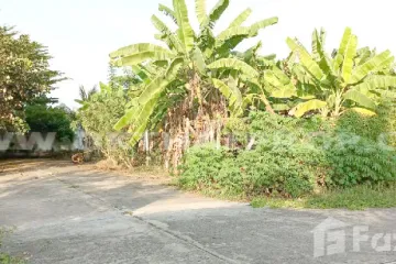 Land for sale in Sam Phran, Nakhon Pathom