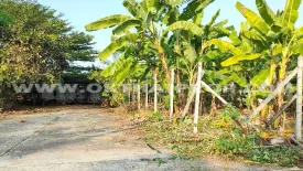 Land for sale in Sam Phran, Nakhon Pathom