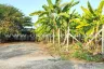 Land for sale in Sam Phran, Nakhon Pathom
