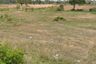 Land for sale in Tanot, Nakhon Ratchasima