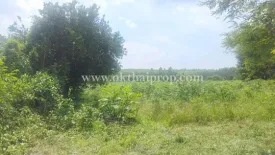 Land for sale in Na Wang Hin, Chonburi