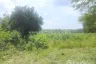 Land for sale in Na Wang Hin, Chonburi