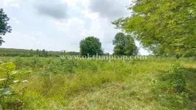 Land for sale in Na Wang Hin, Chonburi