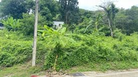 Land for sale in Chalong, Phuket
