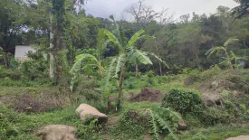 Land for sale in Chalong, Phuket