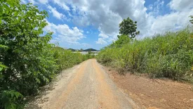 Land for sale in Na Jomtien, Chonburi
