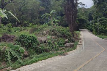 Land for sale in Chalong, Phuket