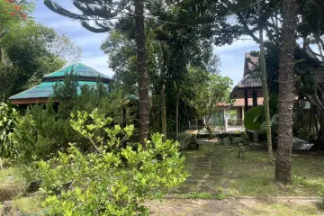 15 Bedroom Hotel / Resort for sale in Lipa Noi, Surat Thani