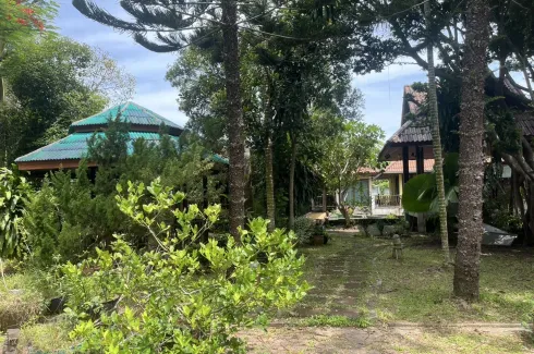 15 Bedroom Hotel / Resort for sale in Lipa Noi, Surat Thani