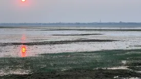 Land for sale in Nok Mueang, Surin