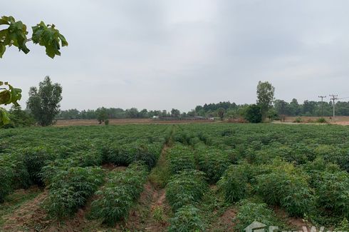 Land for sale in Na Bua, Surin