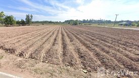 Land for sale in Na Bua, Surin