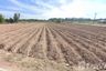 Land for sale in Na Bua, Surin