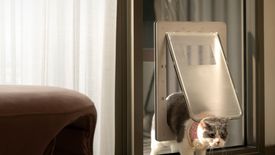 1 Bedroom Condo for sale in Whizdom The Forestias, Bang Kaeo, Samut Prakan