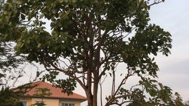 Land for sale in Racha Thewa, Samut Prakan