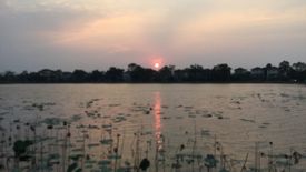 Land for sale in Racha Thewa, Samut Prakan