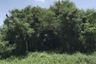 Land for sale in Bang Kaeo, Samut Prakan