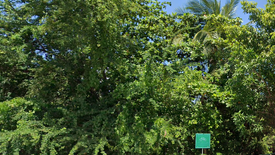 Land for sale in Bang Kachao, Samut Prakan