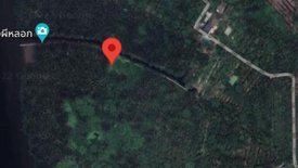 Land for sale in Bang Kachao, Samut Prakan