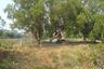 Land for sale in Ban Khlong Suan, Samut Prakan