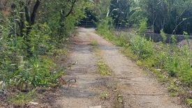 Land for sale in Bang Kachao, Samut Prakan
