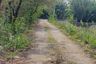 Land for sale in Bang Kachao, Samut Prakan
