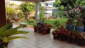 6 Bedroom House for sale in Samrong Nuea, Samut Prakan near BTS Bearing