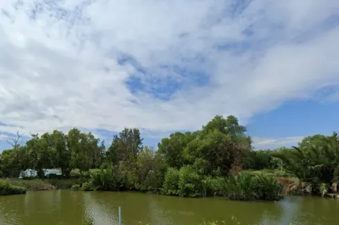 Land for sale in Ban Khlong Suan, Samut Prakan