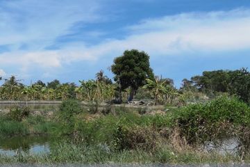 Land for sale in Ban Khlong Suan, Samut Prakan