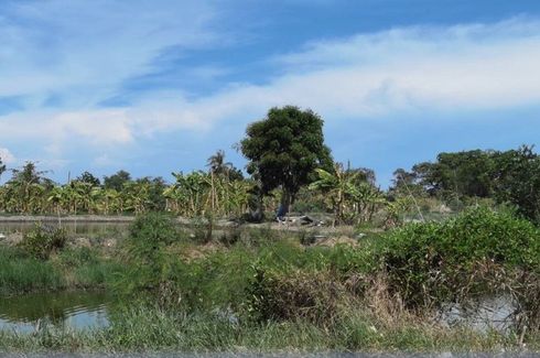 Land for sale in Ban Khlong Suan, Samut Prakan