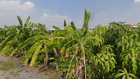 Land for sale in Bang Kaeo, Samut Prakan