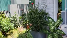 3 Bedroom House for rent in Inizio Bangna, Bang Bo, Samut Prakan