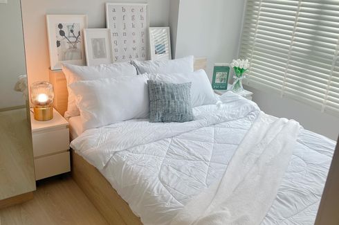 1 Bedroom Condo for rent in Nue Noble Srinakarin - Lasalle, Samrong Nuea, Samut Prakan near MRT Si La Salle