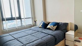 1 Bedroom Condo for rent in Nue Noble Srinakarin - Lasalle, Samrong Nuea, Samut Prakan near MRT Si La Salle