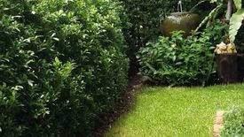 4 Bedroom House for rent in Bang Kaeo, Samut Prakan