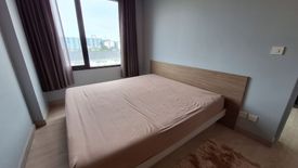 1 Bedroom Condo for rent in The Gallery Condominium, Samrong Nuea, Samut Prakan near BTS Bearing